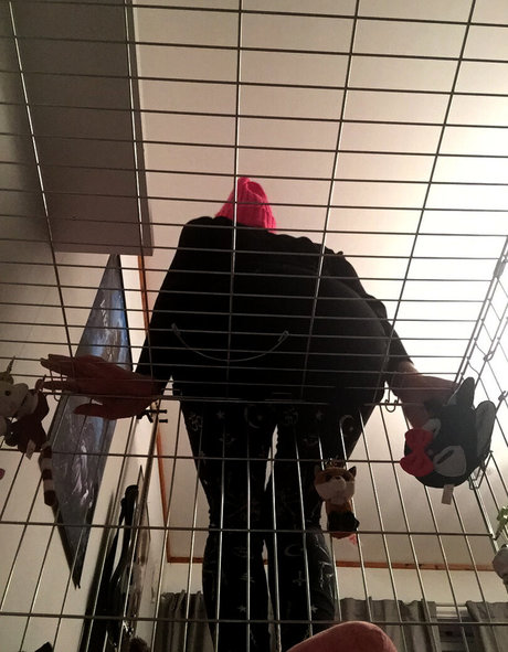 secretsecretsaria star perfect pics