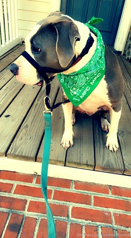 bbw ass onlyfans hot nude images