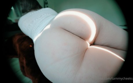 tammycheeks adult actress img