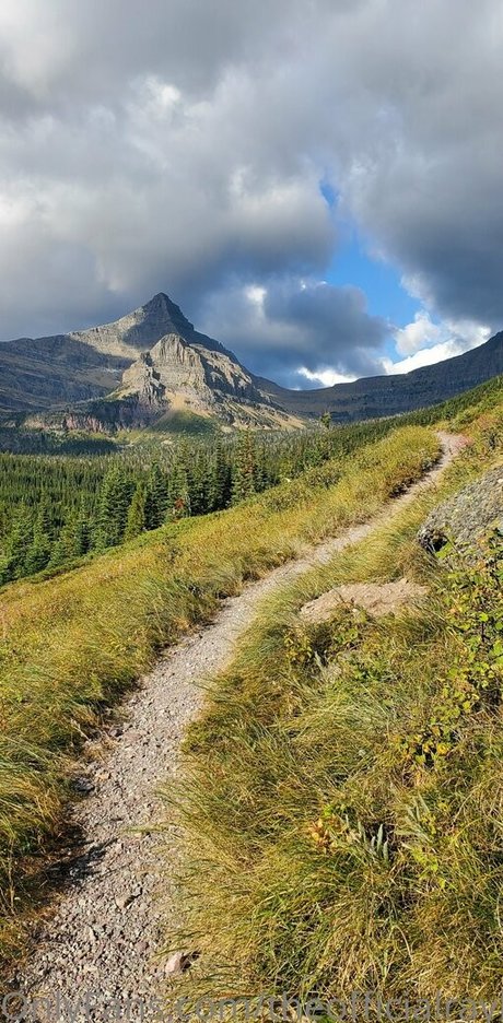 theofficialraybaby hot model photos