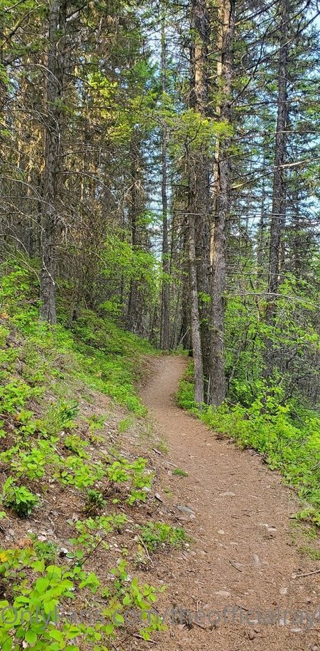 theofficialraybaby naked star pic