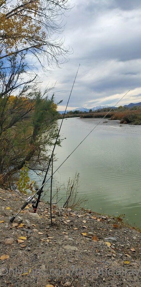 theofficialraybaby erotic star img