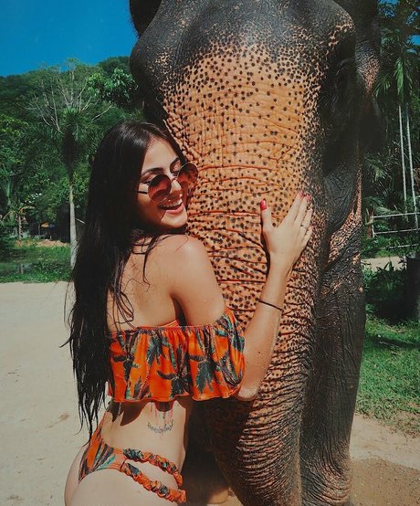 small onlyfans nice gallery