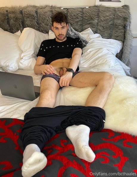 bcthaales star beautiful gallery