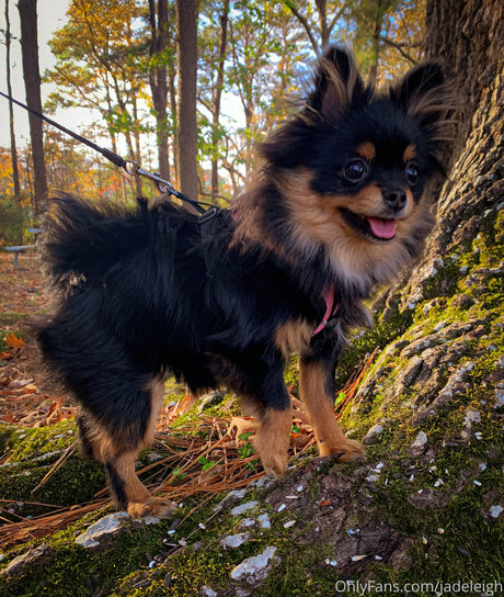 jadeleigh hd pornstar galleries