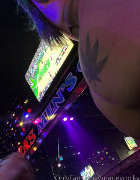 marleyrocky star high quality photo