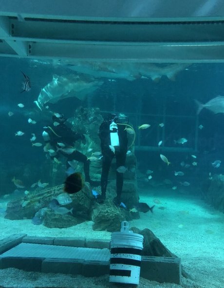 milf yoga onlyfans nice pictures