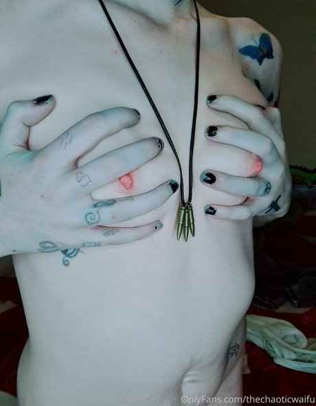 TheChaoticWaifu art star galleries