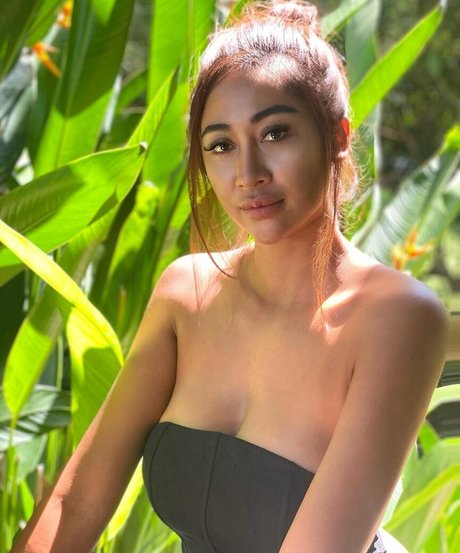 cheetah babe69 star free image