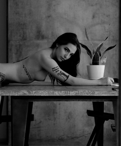 sunnyandraven star free archive