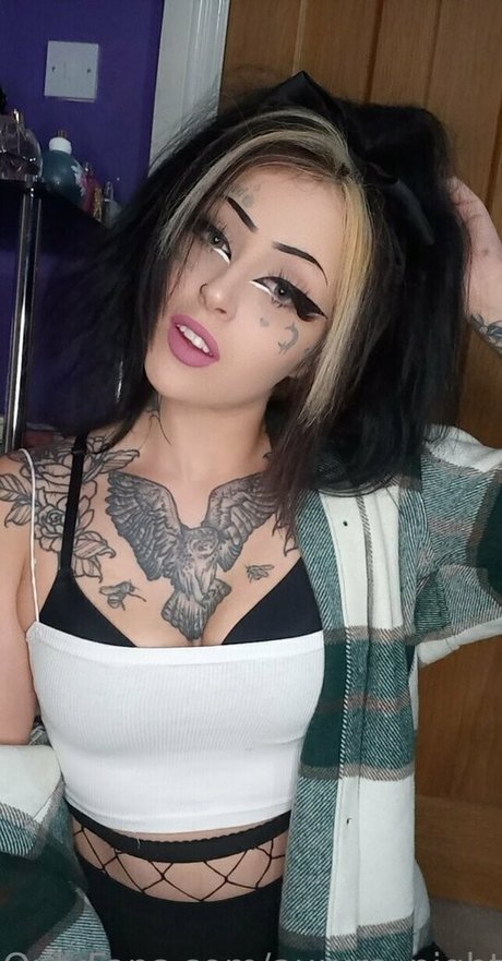 aurxra night model top image