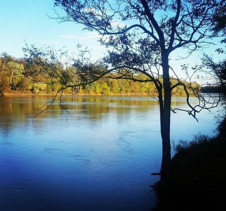 milf yoga onlyfans art nude pictures