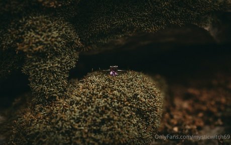 blowjob brunette onlyfans beautiful xxx pics