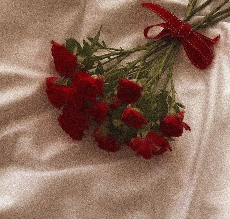 Merxoxo model adult images