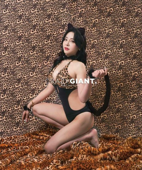 Shasa fly art star photos