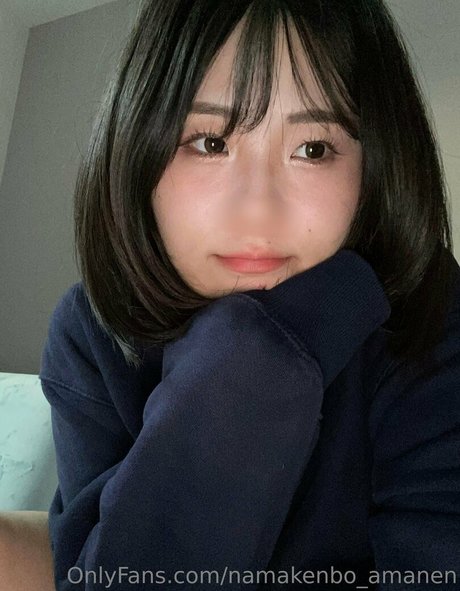 namakenbo amanen model art gallery