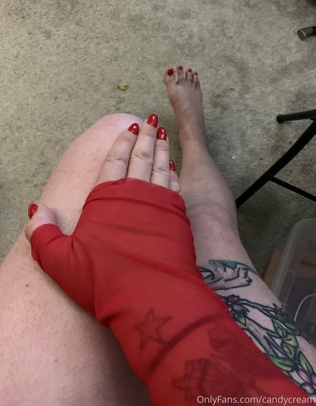 candycream exclusive pornstar gallery