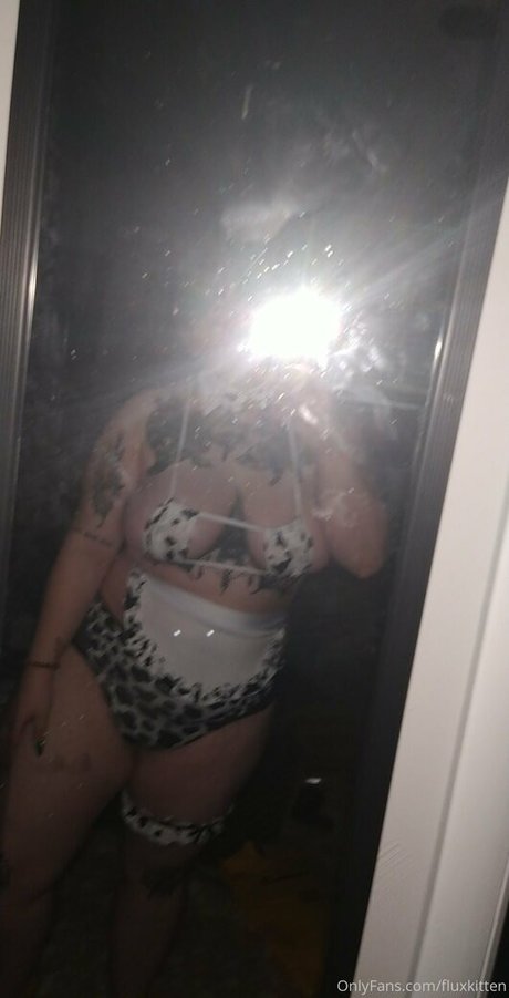 fluxkitten star high quality picture