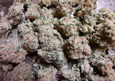 cute anal onlyfans hd images