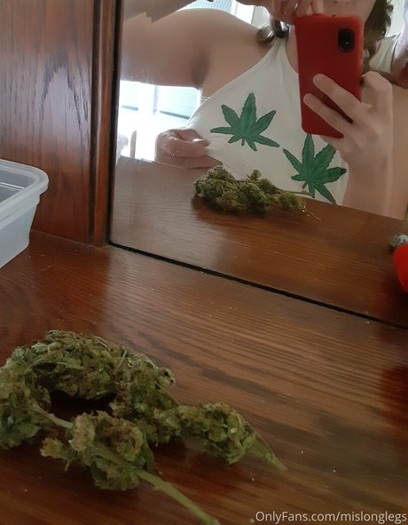 mislonglegs pornstar art images