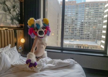 college teacher onlyfans nice pictures