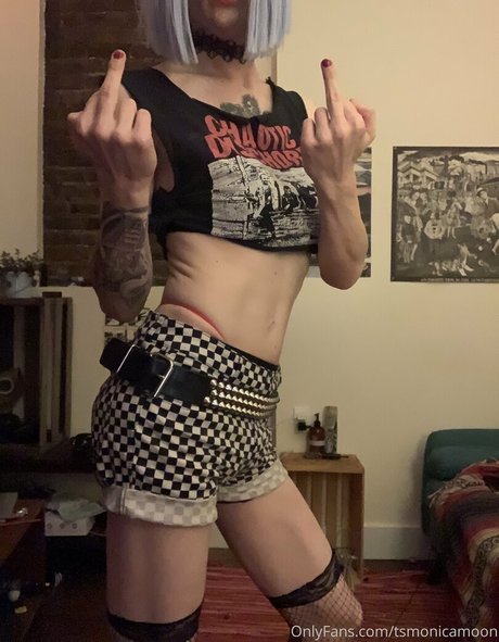 tsmonicamoon pornstar high quality galleries