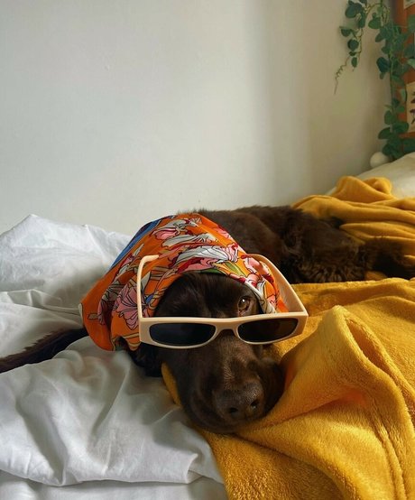 blonde asian onlyfans naked pictures