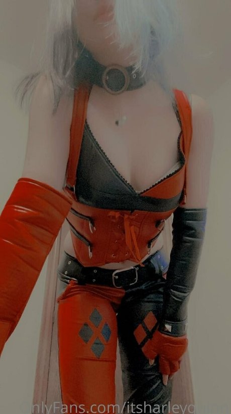 itsharleyquinn sex pornstar photo
