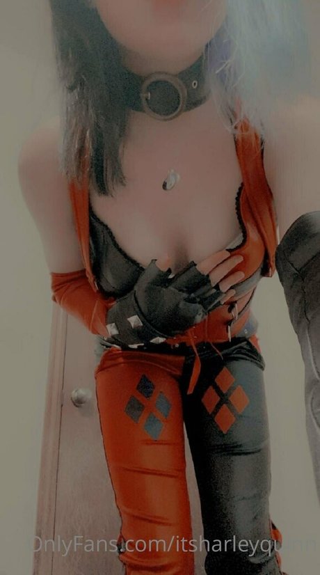 itsharleyquinn xxx actress pics