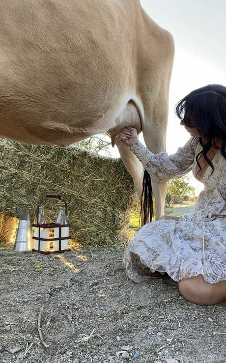 Reedsuicide xxx pornstar images