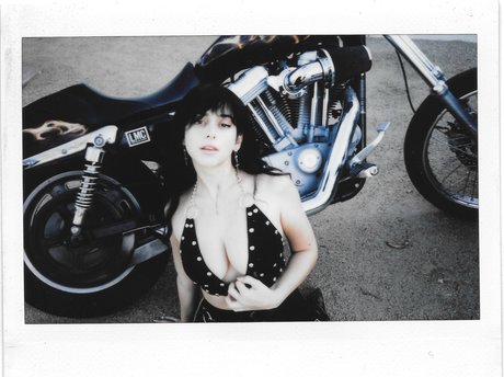 Reedsuicide porn star photos