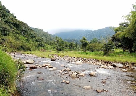 avliequeena xxx actress images