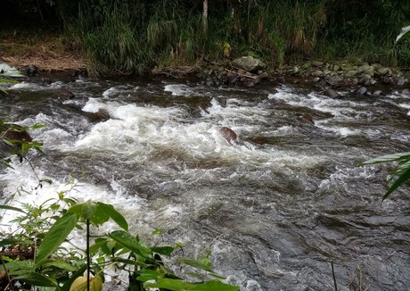 avliequeena model art picture