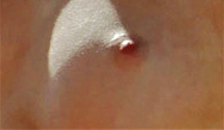 Jess Impiazzi nude pornstar pictures