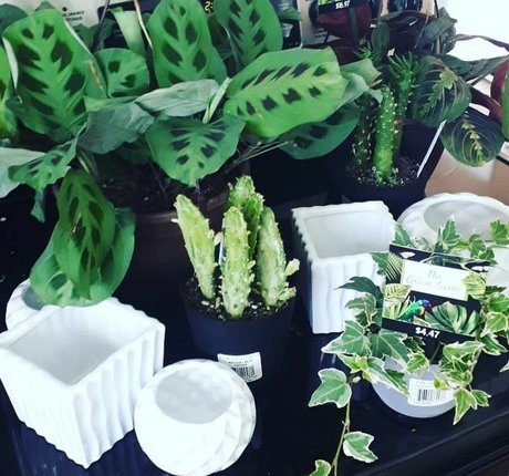 gamer onlyfans art xxx image