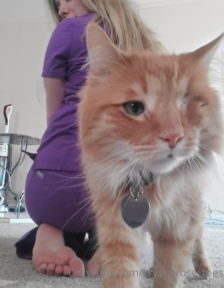 krystalrose toes sexy pornstar pics