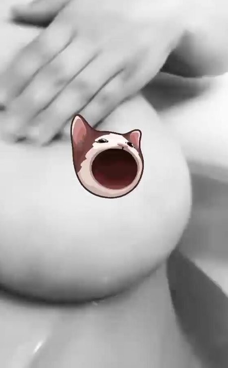 kitty ketttt pornstar hot image