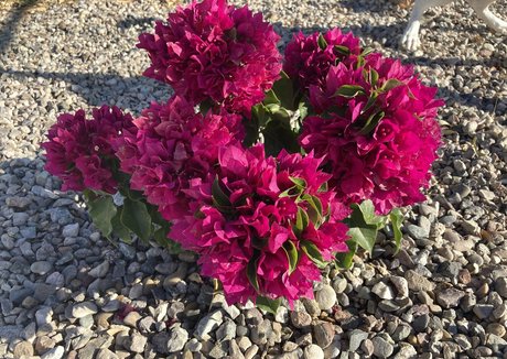 mirror selfie onlyfans perfect photo