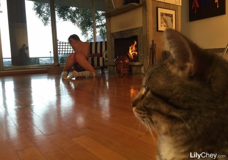 pawg teen onlyfans free nude img