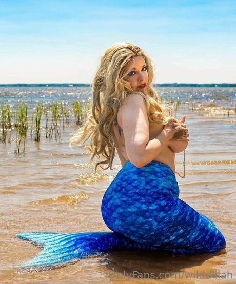 wilddlilah sex star archive