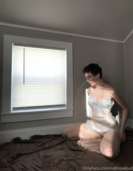 miaxcosta exclusive star archive