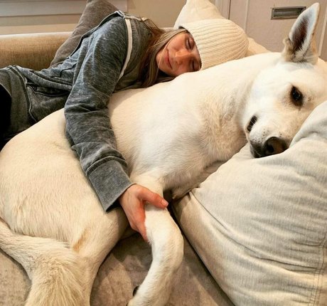 Rita Volk star free galleries