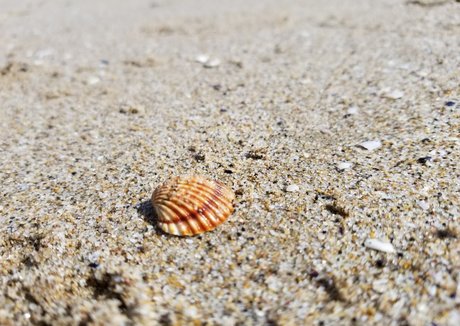 goth princess onlyfans xxx photos