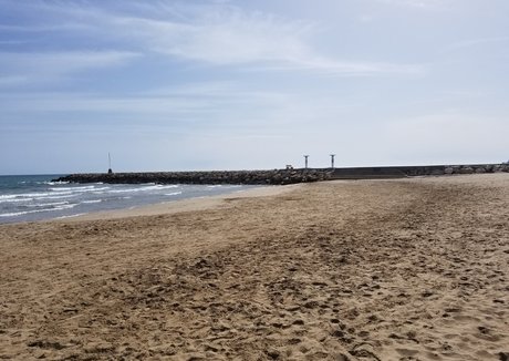 pussy tattoo onlyfans free gallery