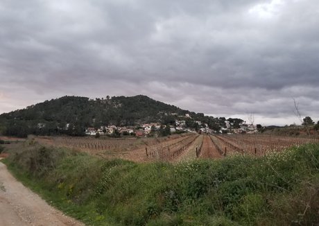 hot naked onlyfans free xxx img