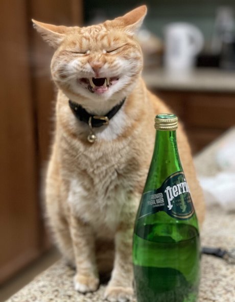 twerk onlyfans naked pictures