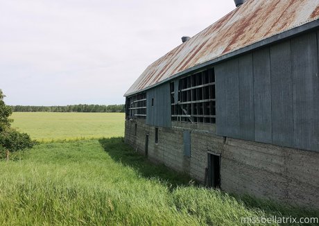 bellatrix art actress img