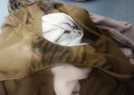 huge fake tits onlyfans pornographic image