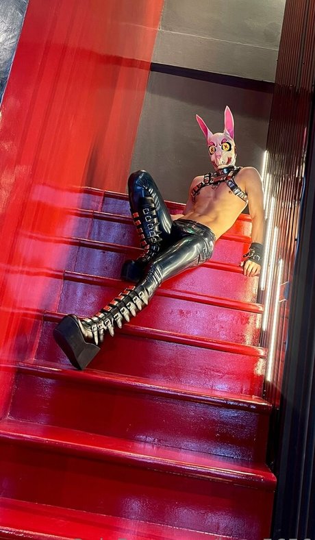 kmp5656 hot pornstar galleries