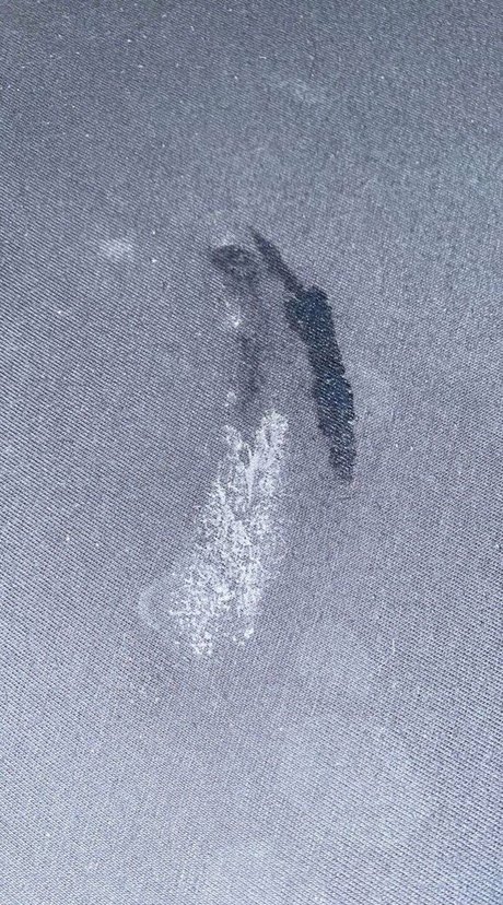 missingrid pretty star galleries